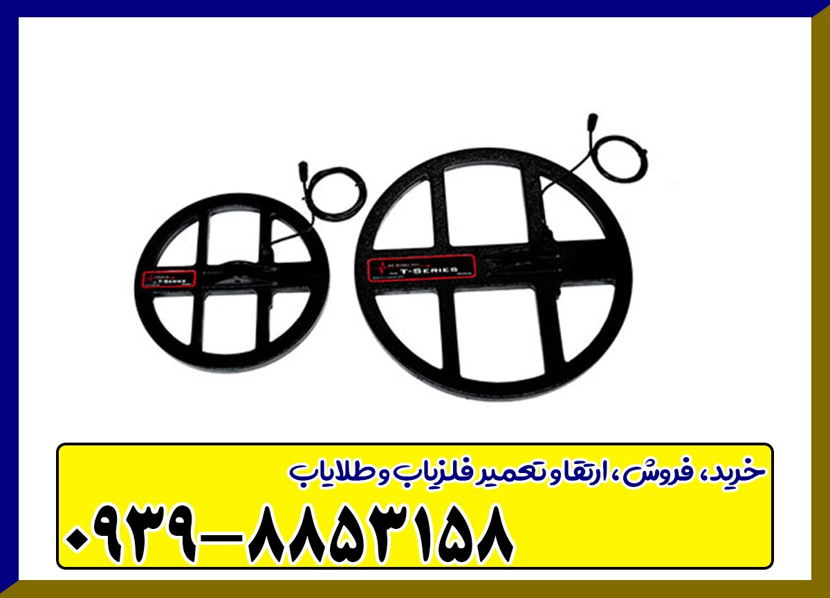 فلزیاب تی 6