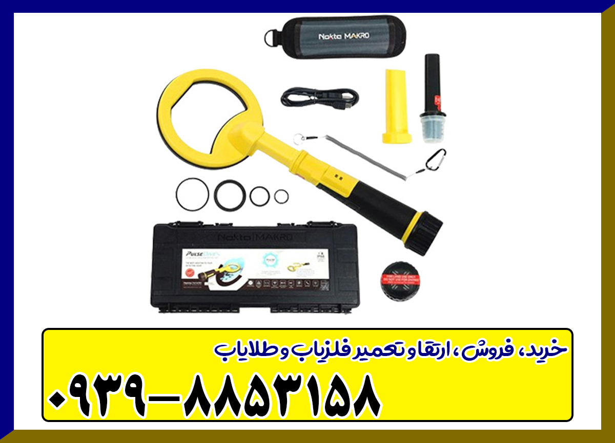 پین پوینتر پالس دایو